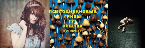 марихуана Баксан