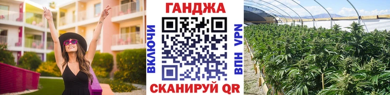 Бошки марихуана THC 21% Верея
